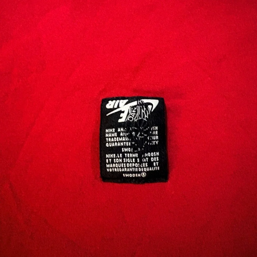 Jordan brand short